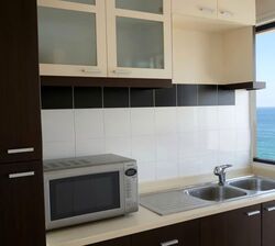 Harbour View Towers (D4), Condominium #589384871